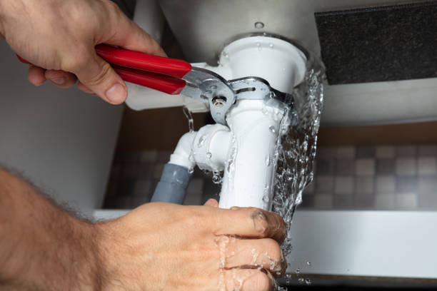 Best Residential water damage restoration  in Lyndhurst, OH