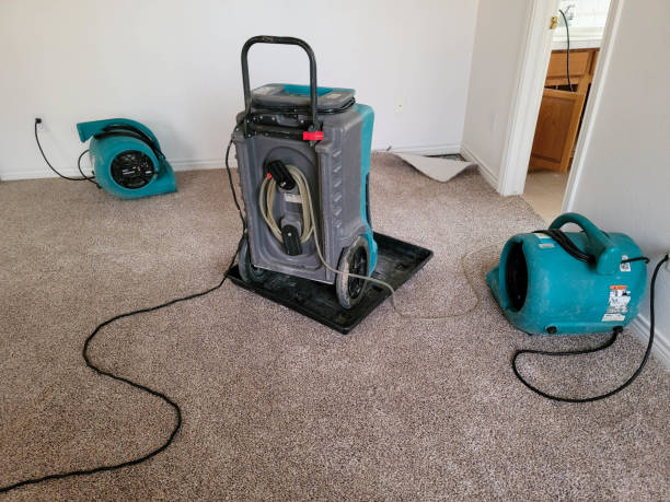 Best Water damage restoration services  in Lyndhurst, OH