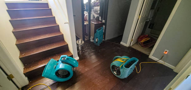 Best 24-hour water damage restoration  in Lyndhurst, OH