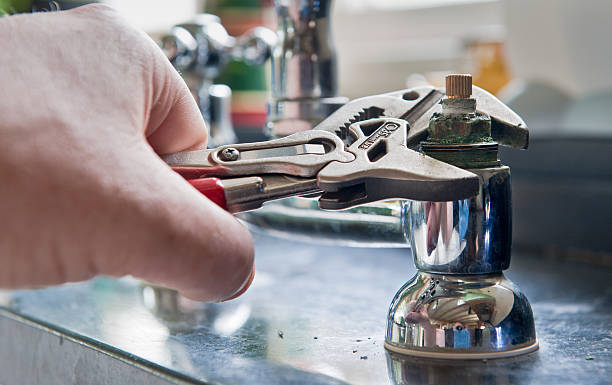 Best Mold removal after water damage  in Lyndhurst, OH