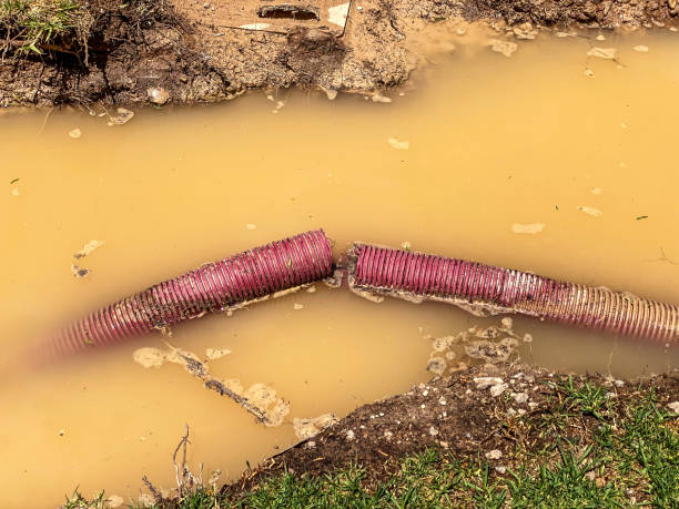 Best 24-hour water damage restoration  in Lyndhurst, OH