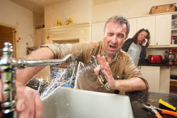 Best 24-hour water damage restoration  in Lyndhurst, OH